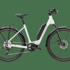 E-Bikes Trek | Zing Gen 2 (Einstieg: Tief)