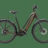 E-Bikes Trek | Opal Esprit (Einstieg: Tief) Berninabraun Metallic