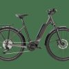 E-Bikes Trek | Zing Deluxe Gen 2 (Einstieg: Tief) Melanitgrau Metallic