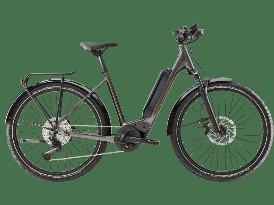 E-Bikes Trek | Zing Deluxe Gen 2 (Einstieg: Tief) Melanitgrau Metallic