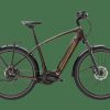 E-Bikes Trek | Opal Esprit (Einstieg: Hoch) Berninabraun Metallic