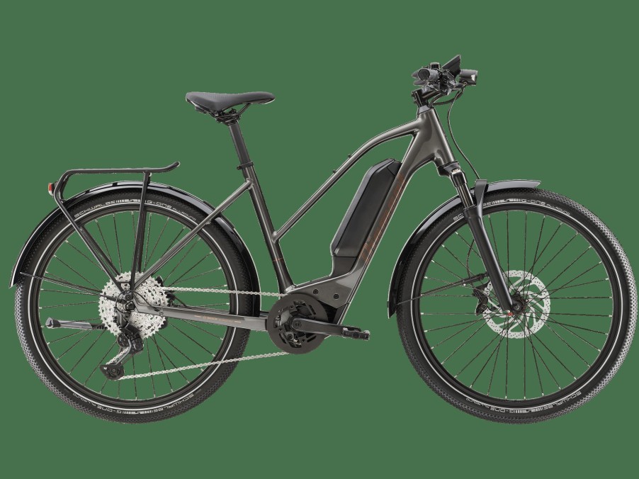 E-Bikes Trek | Zing Deluxe Gen 2 (Einstieg: Mittel) Melanitgrau Metallic