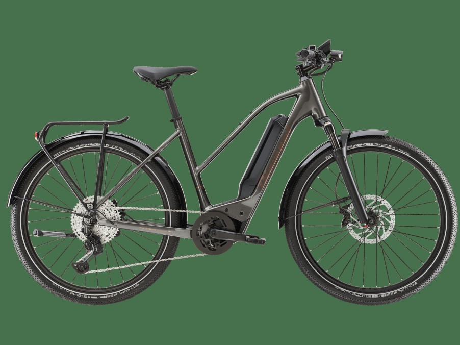 E-Bikes Trek | Zing Deluxe Gen 2 (Einstieg: Mittel) Melanitgrau Metallic