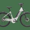 E-Bikes Trek | Beryll Rt Gen 3 (Einstieg: Tief)