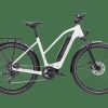 E-Bikes Trek | Zing Gen 2 (Einstieg: Mittel)