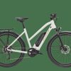 E-Bikes Trek | Zing+ Gen 1 (Einstieg: Mittel)