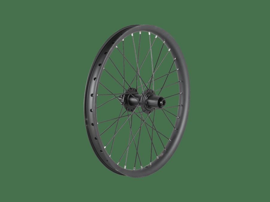 Ausstattung Trek Laufräder | Trek Cargo Bike 6-Bolt Disc 20" Wheel Black