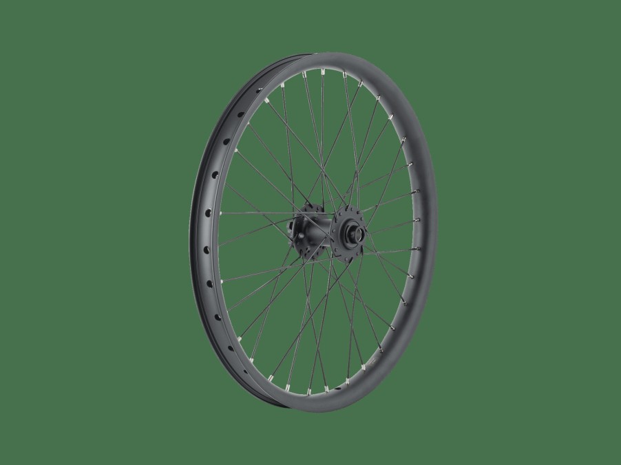 Ausstattung Trek Laufräder | Trek Cargo Bike 6-Bolt Disc 20" Wheel Black