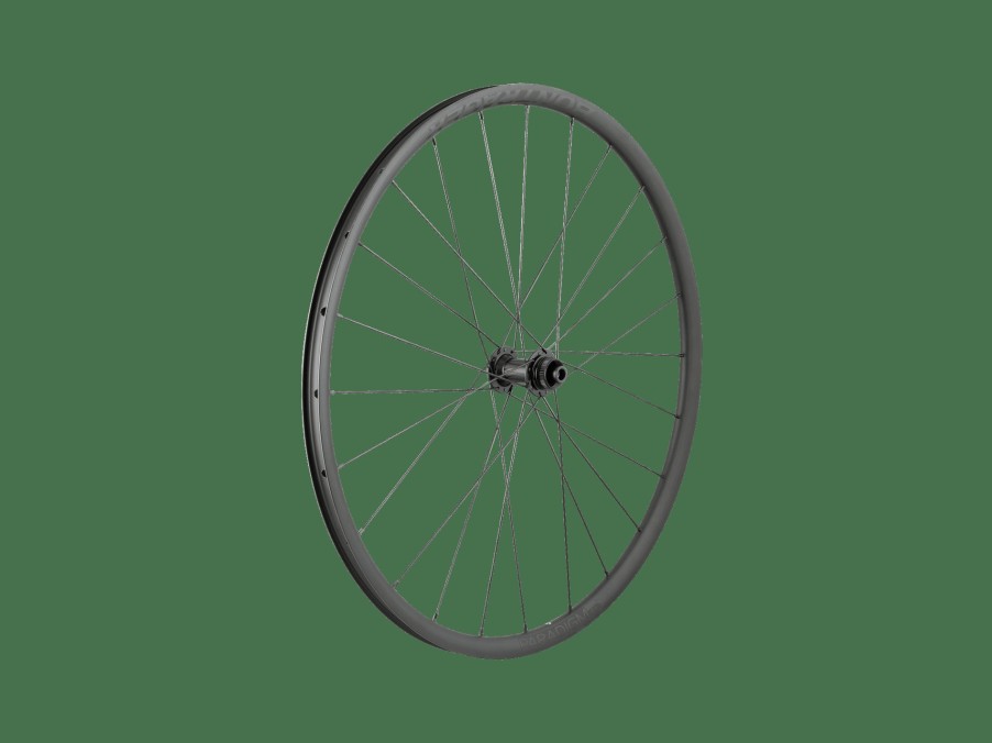 Ausstattung Trek Laufräder | Bontrager Paradigm Sl Centerlock Disc 24H Silver Nipples 700C Road Wheel Black