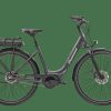 E-Bikes Trek | Turmalin Deluxe+ (Einstieg: Tief) Dravitgrau Metallic