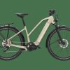 E-Bikes Trek | Zouma Deluxe+ (Einstieg: Mittel)