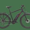 E-Bikes Trek | Zing+ Gen 1 (Einstieg: Hoch) Tiefschwarz