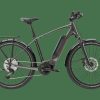 E-Bikes Trek | Zing Deluxe Gen 2 (Einstieg: Hoch) Melanitgrau Metallic