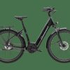 E-Bikes Trek | Beryll Esprit Rt Gen 3 (Einstieg: Tief) Tiefschwarz